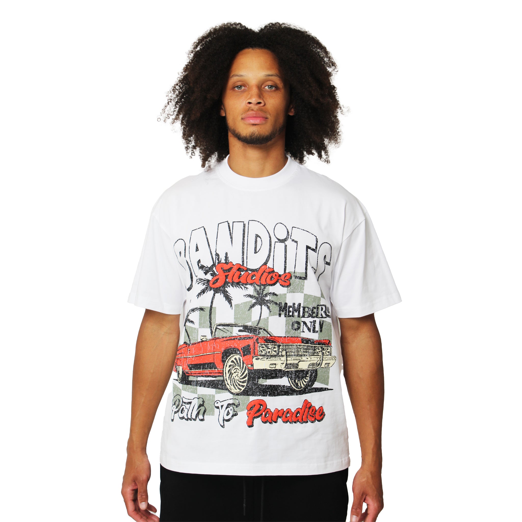 PATH TO PARADISE S/S TEE WHITE
