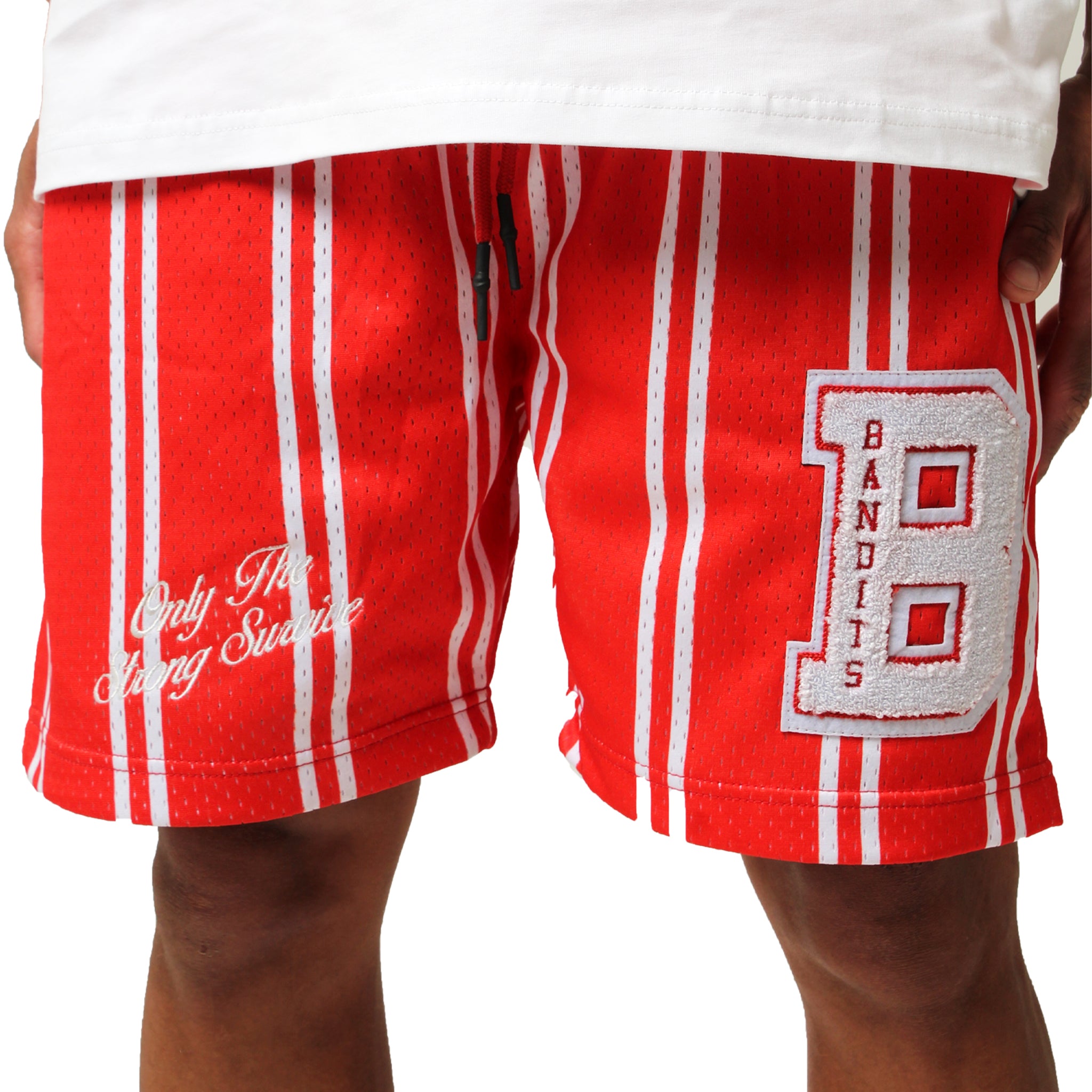 PINSTRIPEMESHREDFRONT2.jpg